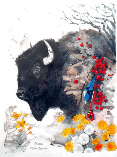 BISON